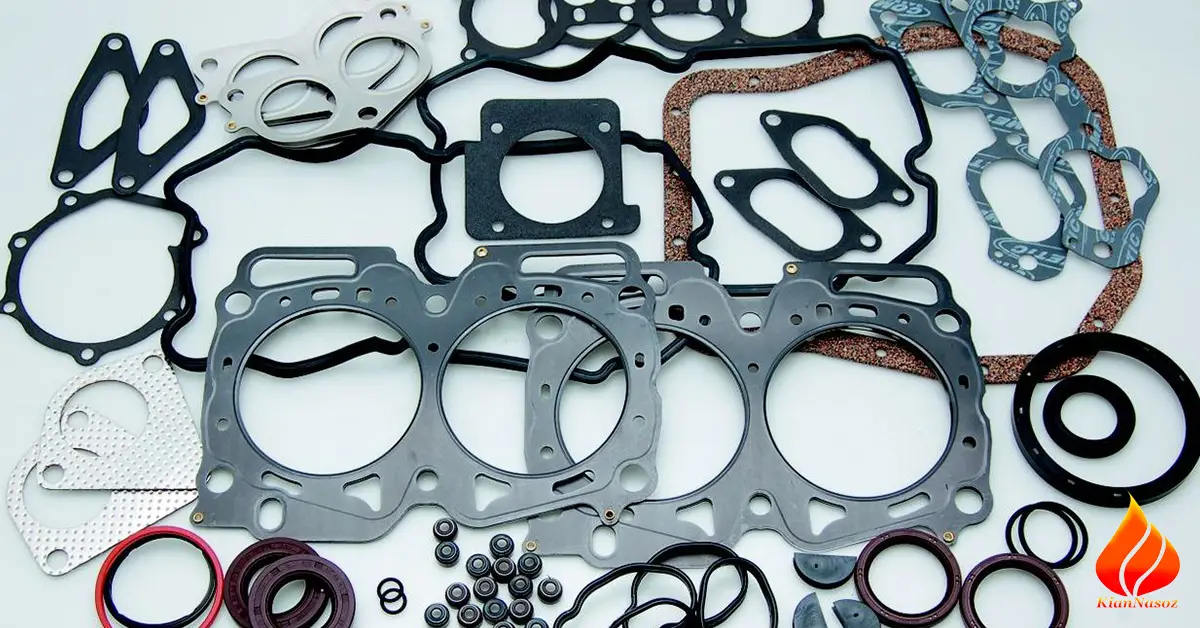 تاریخچه و تکامل گسکتها